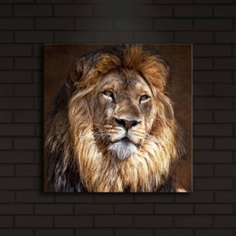 Wallity Cuadro Decorativo en Lienzo Iluminado con LED 40x40 cm
